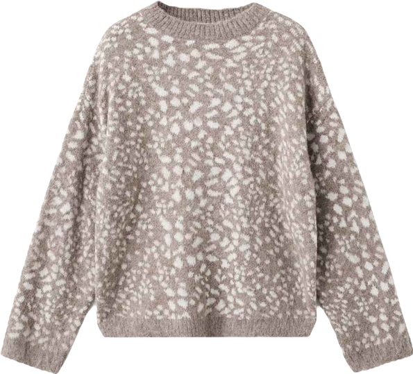 Women's Animal Print Sweater