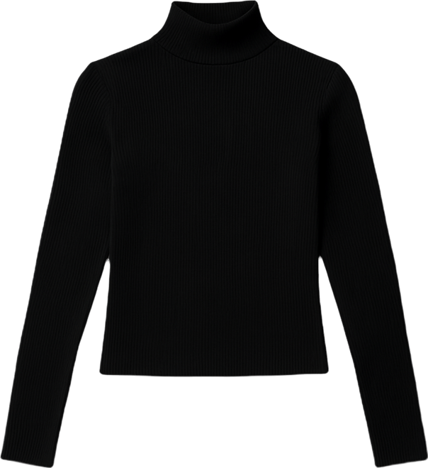 Women's Saskia Fitted Ribbed Turtle Neck Top