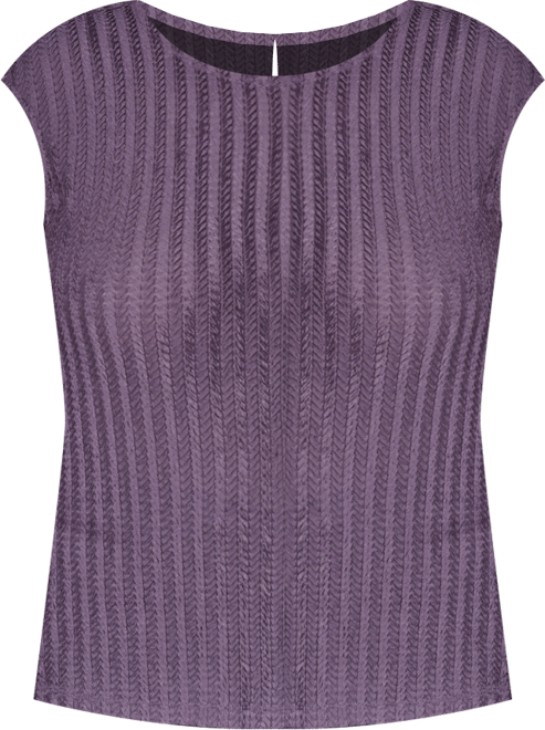 Plus Size Cap Sleeve Textured Knit Top