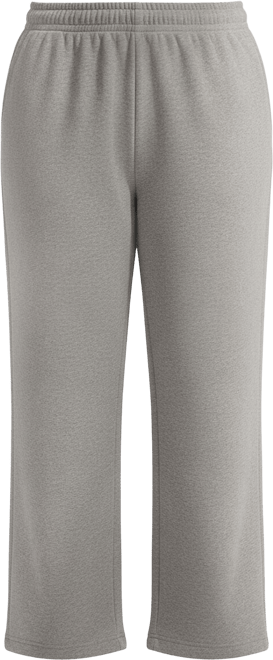 Nike Sportswear Phoenix Fleece Women's High-Waisted Pants (Plus Size)