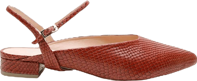Women's Brown Snake Amal Customizable Point Slide