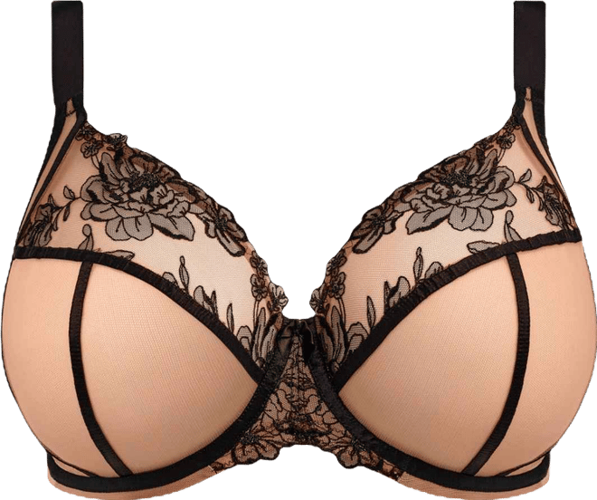 Women's Teagan Full-Figure Underwire Plunge Bra EL302602