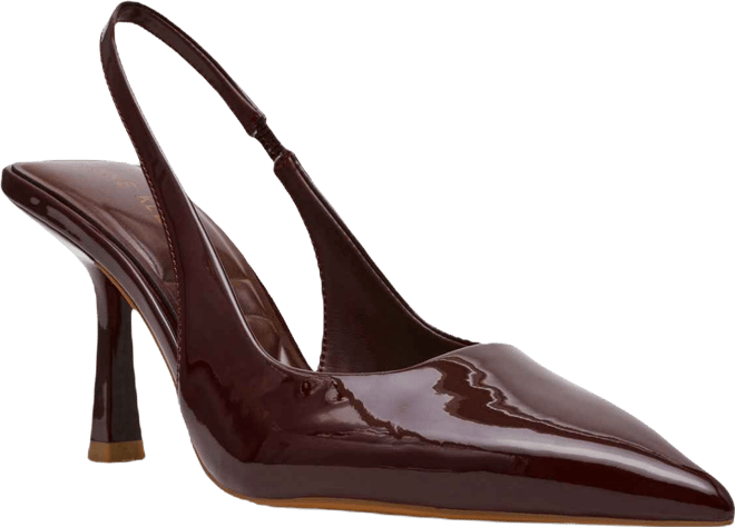 Women's Akitzy Pointed Toe Pumps