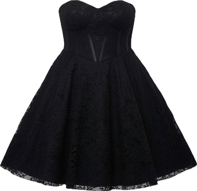 Women's Sweetheart Strapless Lace Bustier Party Dress