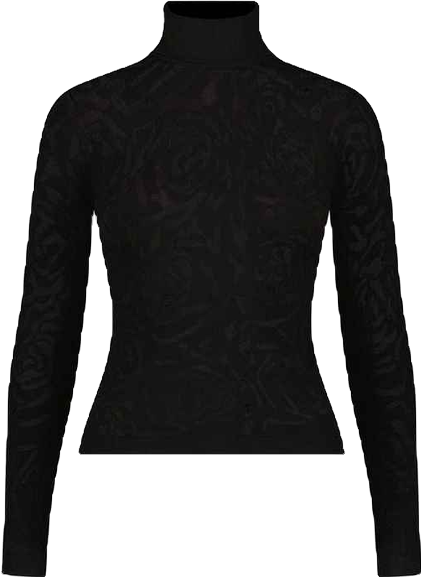 Women's Alina Rose Turtleneck Top