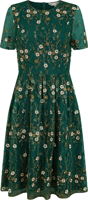 Women's Embroidered Floral Skater Dress