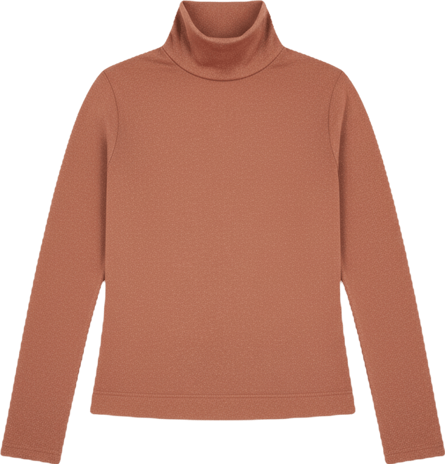 Women's Knit Turtleneck Top Solid