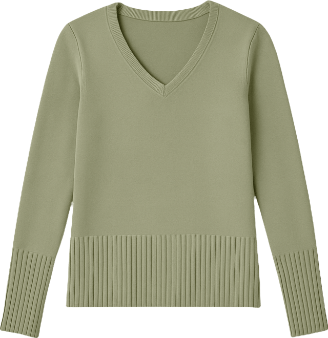 Petite V-Neck Knit Sweater