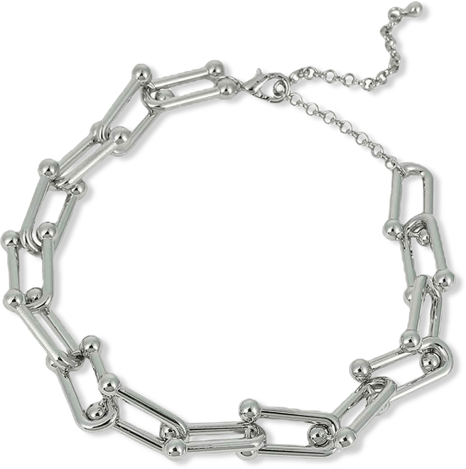 Women's The Chunky Clip-Link Chain Necklace