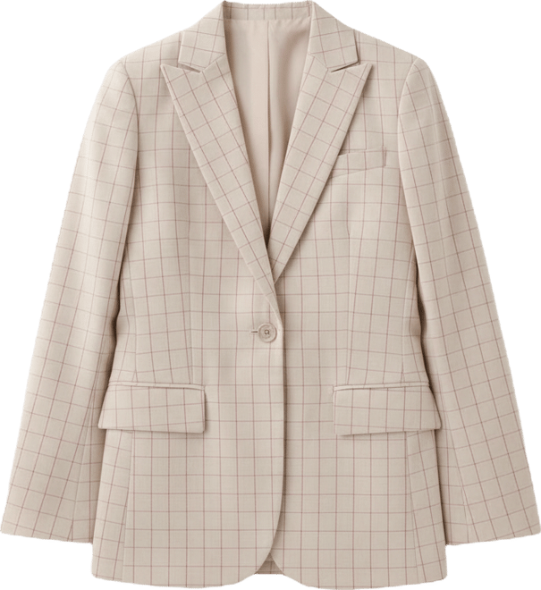 Women's Stripes Check Blazer