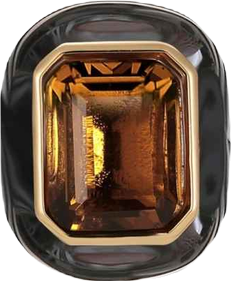 Roman Night Ear Studs