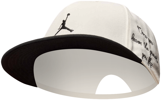 Jordan Pro Gorra con estructura