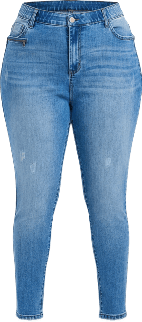 Women's Plus Size La Luna Zip Detail Skinny Jean