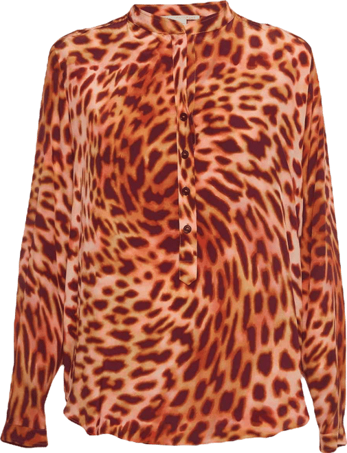 Women's Multicolor Print Silk Buttoned Shirt Blouse