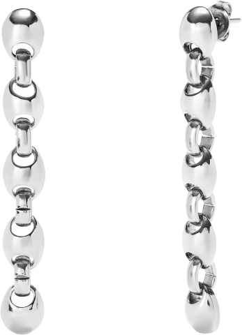 Silver Plated Dazzling Drop Earrings