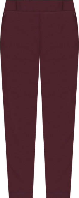 Plus Size Smart Signature Ponte Pants Long