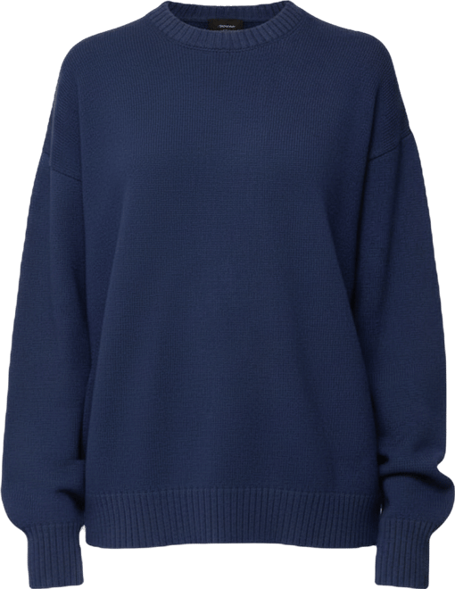 Women's Priscila Oversized Crewneck Sweater