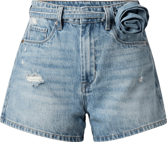 Women's Zipper Fly Denim Shorts