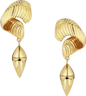 Hawk Wing Earrings