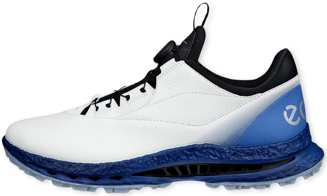 ECCO Men's M Golf Biom C5 BOA Golf Shoes | Golf Galaxy