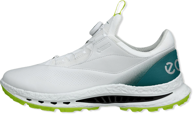 ECCO Men's M Golf Biom C5 BOA Golf Shoes | Dick's Sporting Goods