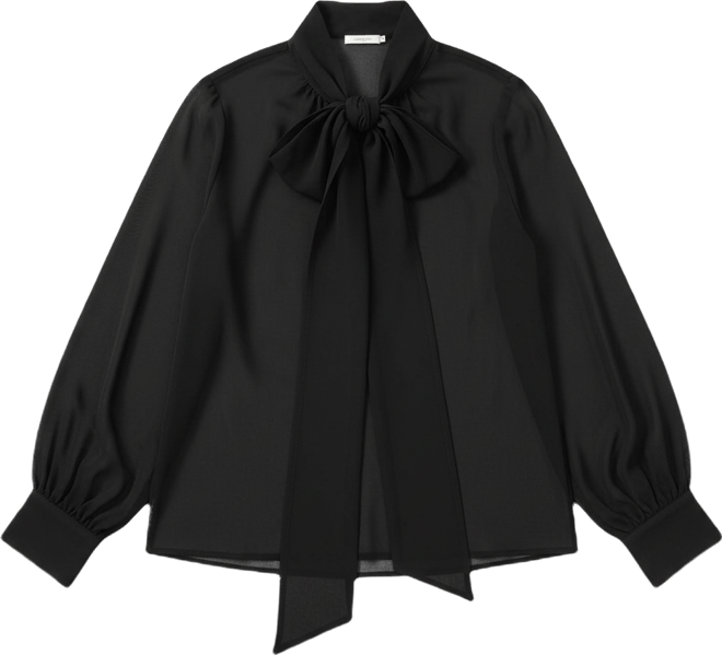 Women's Sheer Neck Tie Blouse