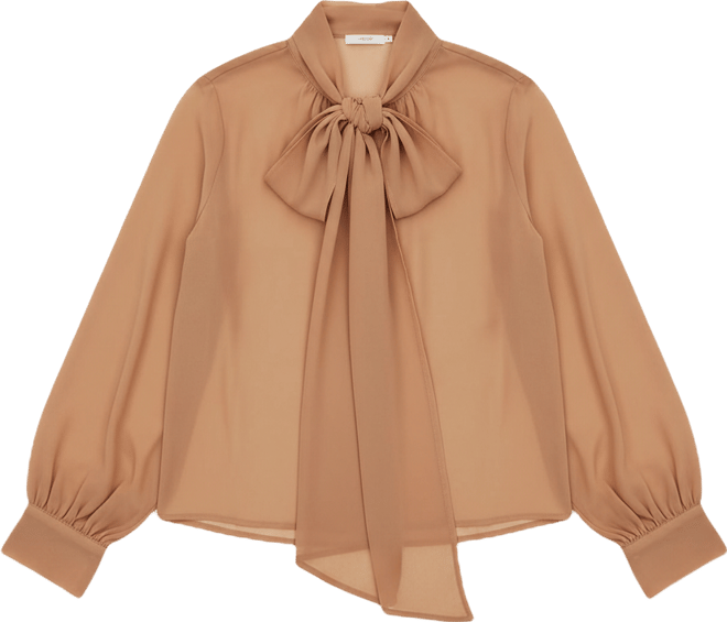 Women's Sheer Neck Tie Blouse