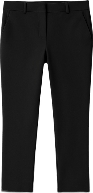 Petite Straight Leg Ankle Pants