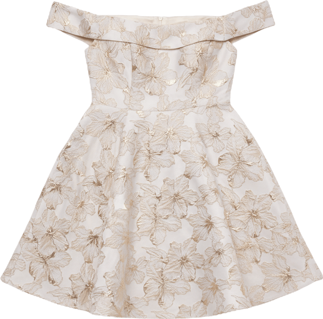 Women's Off-The-Shoulder Brocaade Party Dress