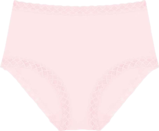 Bliss Lace-Trim High Rise Cotton Brief 755058