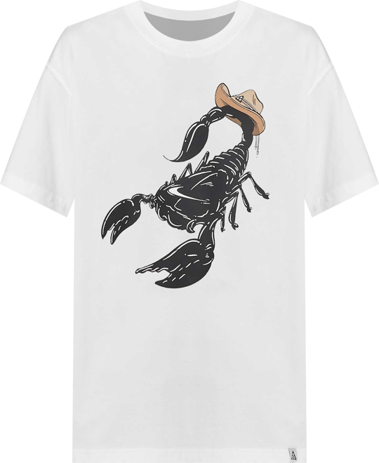 ナイキ ACG メンズ Tシャツ