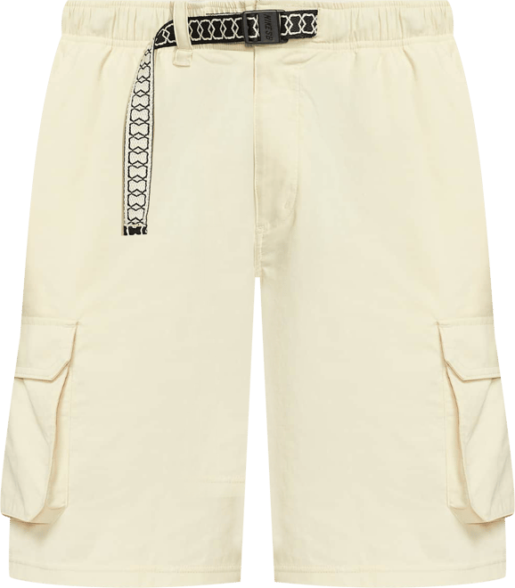 ナイキ SB Dri-FIT カーニー カーゴ スケートボードショートパンツ