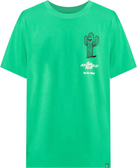 ナイキ ACG メンズ Tシャツ