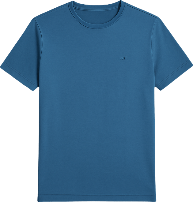 Men's Regular Fit Short Sleeves T-Shirt