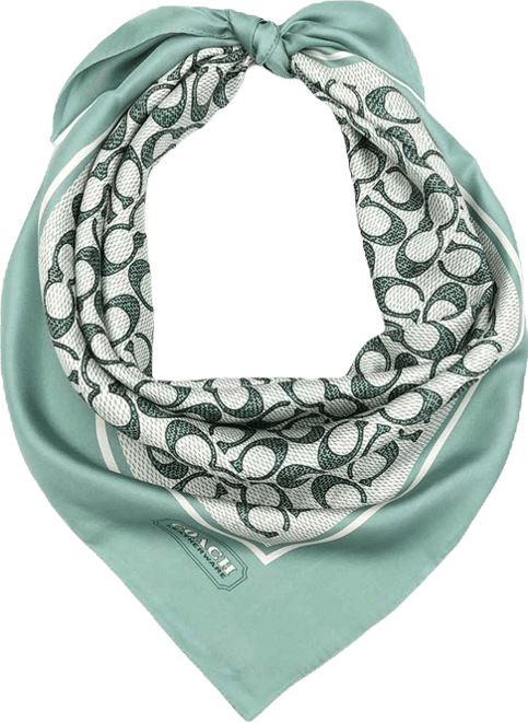 35" Textured Signature C Printed Silk Square