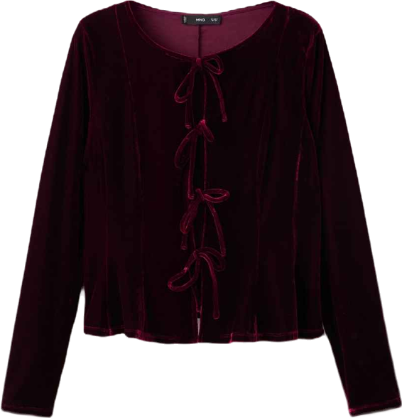 Women's Bows Velvet Blouse