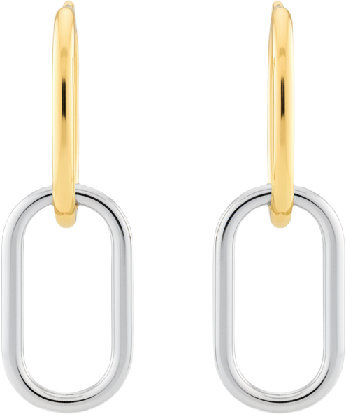 Raleigh Link Drop Hoop Earrings