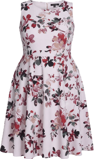 Plus Size Floral Print Fit & Flare Dress