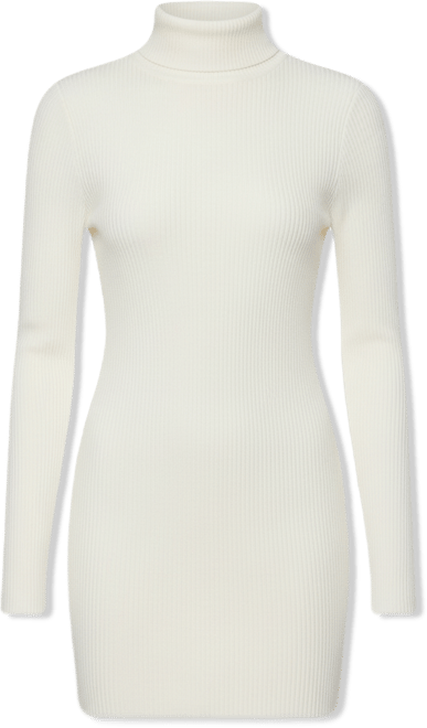 Women's Turtle Neck Ribbed Knit Mini Dress