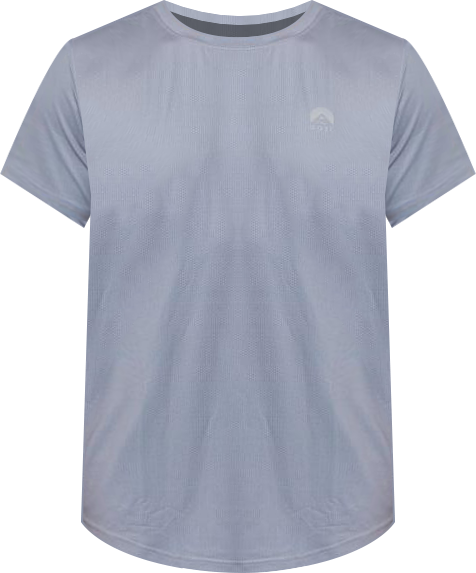 Men's Elite Gym T-Shirt Grey