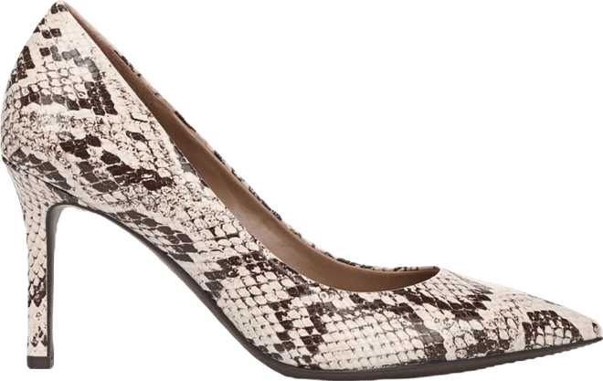 Women's Anna Pointed Toe Dress Pumps