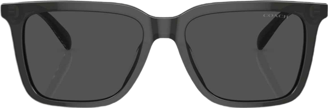 Men's CL910 Sunglasses HC8385U