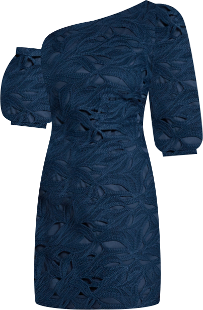 Women's Lace One-Shoulder Textured Puff Sleeve Mini Dress