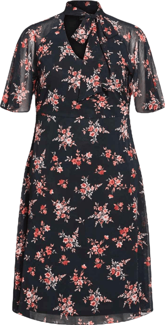 Women's Plus Size Alexandra Dress