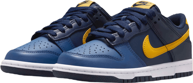 Nike Dunk Low Big Kids' Shoes