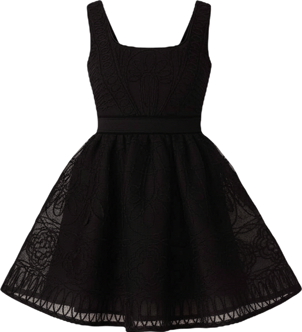 Maje Embroidered Lace Skater Dress | Bloomingdale's Women