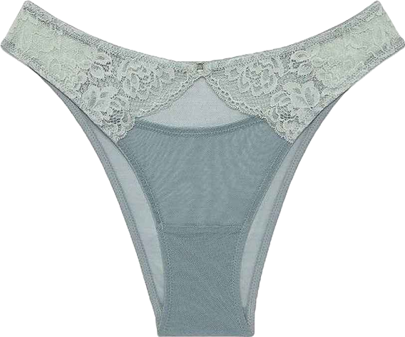 Abella Women's Cheeky Panty