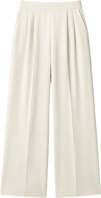 Women's Clara Wide Leg Pleated Trousers