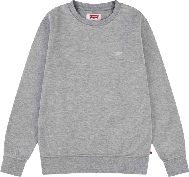 Boys' 8-20 Micro-Branding Crewneck Sweatshirt