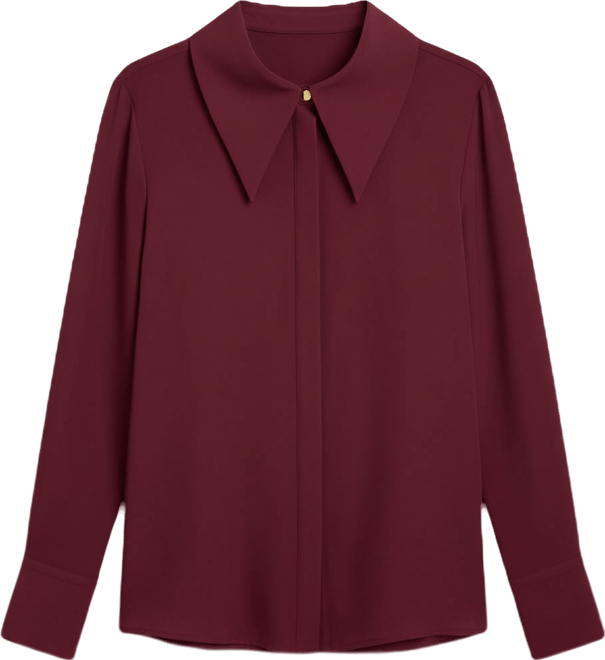 Women's Plus Size Pointed Collar Button Up Shirt